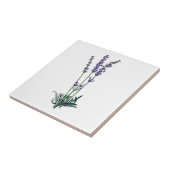 ラベンダー タイル (側面)