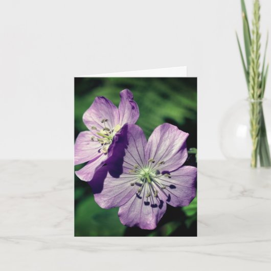 ラベンダー ツインズ ペラゴニウム 花の写真 ノートカード (正面)