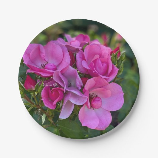 ラベンダー ピンク ローズ ペーパープレート (正面)