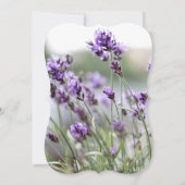 ラベンダー ボヘミアンスタイルのウェディングシャワー招待状 ブラケット 招待状 (裏面)