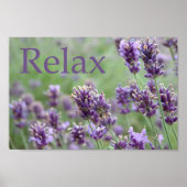 ラベンダー ポスター (正面)