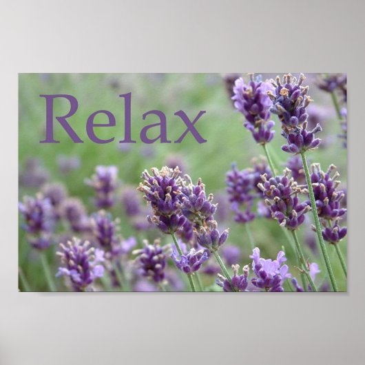 ラベンダー ポスター (正面)