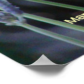 ラベンダー ポスター (角)