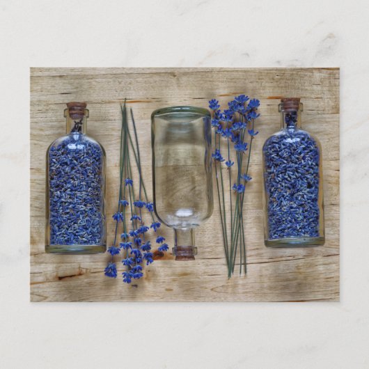 ラベンダー ポストカード (正面)