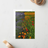 ラベンダー&ポピー ノートカード (正面/裏面インサイチュ)