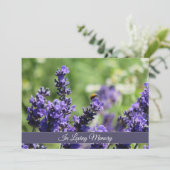 ラベンダー&ラディバグ記念祭の発表 招待状 (スタンド正面)