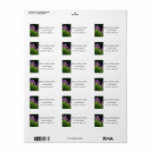 ラベンダー、愛と献身結婚のレーベル ラベル (フルシート)