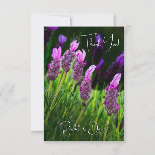 ラベンダー、愛と献身結婚の サンキューカード (正面)