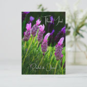 ラベンダー、愛と献身結婚の サンキューカード (スタンド正面)