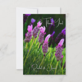 ラベンダー、愛と献身結婚の サンキューカード