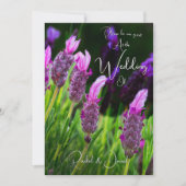 ラベンダー、愛と献身結婚の 招待状 (正面)