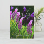 ラベンダー、愛と献身結婚の 招待状 (スタンド正面)