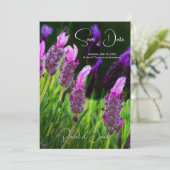 ラベンダー、愛と献身、ウェディングは日付を保存、 招待状 (スタンド正面)