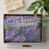 ラベンダー 薄葉紙 (ギフト)