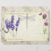 ラベンダー&蝶ヴィンテージはがき紙 (正面/裏面)