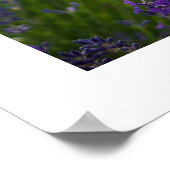 ラベンダー | Lavendel ポスター (角)