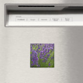 ラベンダー | Lavendel マグネット (インサイチュ (食洗機))