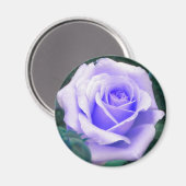 ラベ淡い色のンダーバラ磁石 マグネット (正面/裏面)