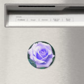 ラベ淡い色のンダーバラ磁石 マグネット (インサイチュ (食洗機))