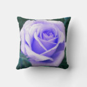 ラベ淡い色のンダーバラ装飾用クッション クッション (裏面)