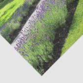 ラベ素晴らしンダーラインのガーデンウォークランドスケープ 薄葉紙 (詳細)