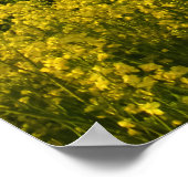 ラペシードフィールドが森を囲パーソナライズされたむ – ポスター (角)