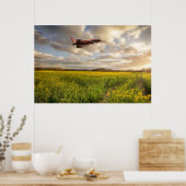 ラペシードc上空のRAF台風飛んでいるユーロファイタージェット ポスター (キッチン)