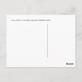 ラペドレラチンニーズ ポストカード (裏面)