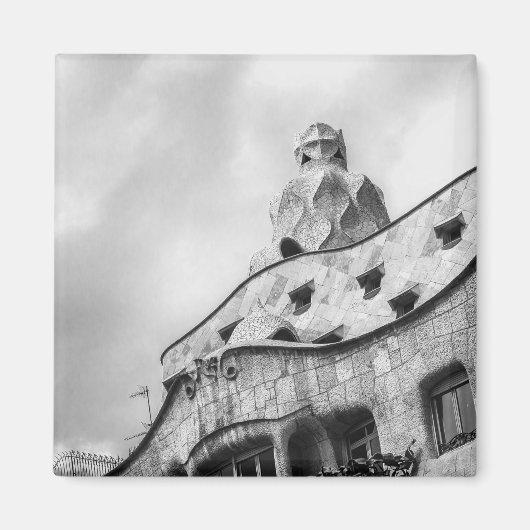 ラペドレラマグネット マグネット (正面)