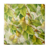 ラペラ梨 タイル (正面)