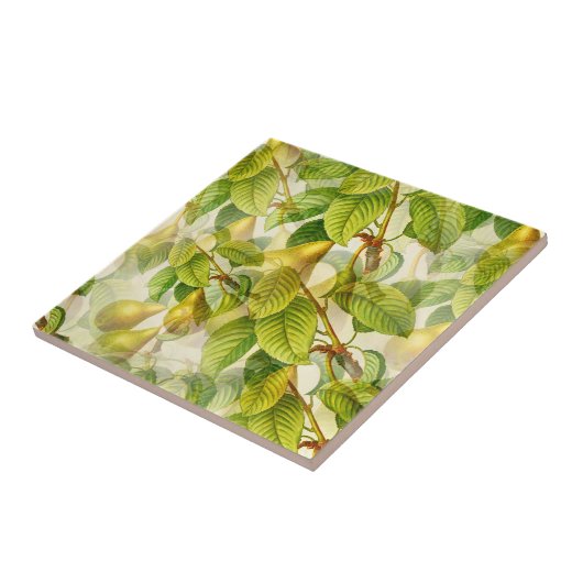 ラペラ梨 タイル (側面)