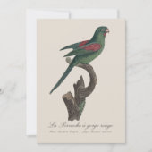 ラペルシュアゴージルージュ サンキューカード (正面)