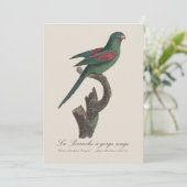 ラペルシュアゴージルージュ サンキューカード (スタンド正面)