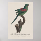 ラペルシュアゴージルージュ ポスター (正面)