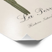 ラペルシュアフロントルージュ フォトプリント            (角)