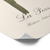 ラペルシュアフロントルージュ ポスター (角)