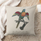 ラペルシュア顔 クッション (ブランケット)