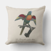 ラペルシュア顔 クッション (正面)