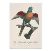 ラペルシュア顔 フォトプリント            (正面)