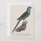 ラペルシュインガンベ サンキューカード (正面)