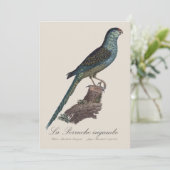 ラペルシュインガンベ サンキューカード (スタンド正面)