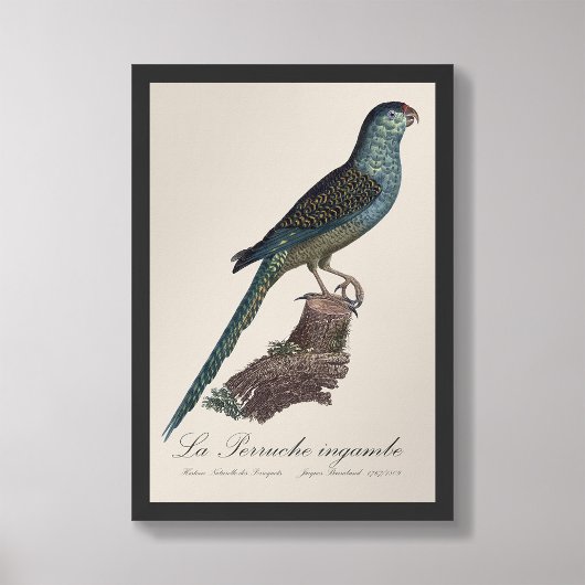 ラペルシュインガンベ フォトプリント           