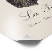 ラペルシュソーリス フォトプリント            (角)