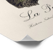 ラペルシュソーリス ポスター (角)