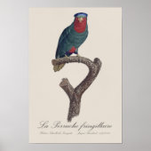 ラペルシュフリンギラワール ポスター (正面)