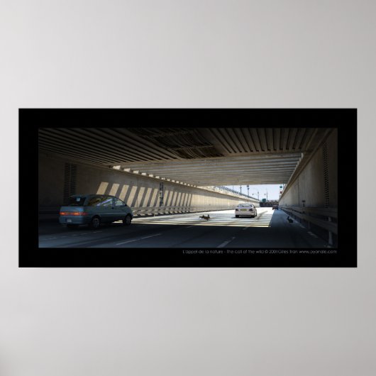 ラペル・デ・ラ・自然 – ワイルドの呼び出し ポスター (正面)