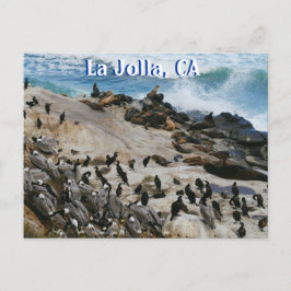 ラホヤ カリフォルニア ポストカード