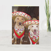 ラボおもしろい誕生日カースペインのド カード (裏面)