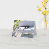 ラボのグループが寝ている カード (黄色い花)