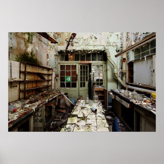 ラボの減衰 ポスター (正面)